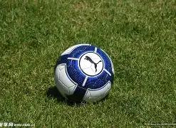 切尔西迎,万欧元重磅,射手,欧博娱乐会员登录入口,欧博娱乐官网,欧博娱乐